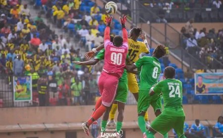 Linafoot D1 : Suspension provisoire du résultat entre Maniema Union et DCMP après incidents