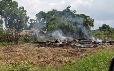 Nouvelle attaque des ADF à Mambasa : Bilan matériel et humain dévastateur