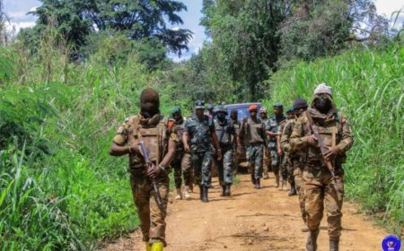 Incursion déjouée à Mbwataba : les FARDC sécurisent la population face à la menace Mobondo