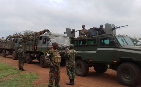 Nord-Kivu : vers une synergie renforcée entre FARDC et UPDF contre les groupes armés