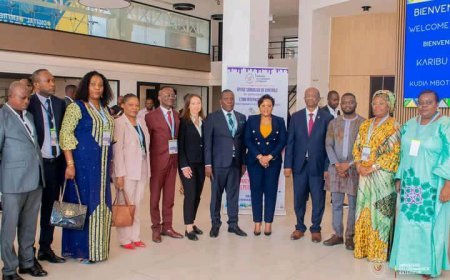 RDC : le gouvernement s’attaque au plomb dans les peintures pour des exportations plus sûres