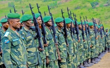 Fizi : Les FARDC mettent en garde contre une campagne de désinformation orchestrée par les Twirwaneho