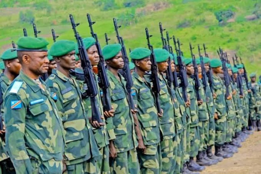 Fizi : Les FARDC mettent en garde contre une campagne de désinformation orchestrée par les Twirwaneho