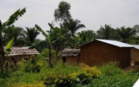 Massacres à Rutshuru : Volker Türk dénonce l’horreur des tueries commises par le M23 au Nord-Kivu