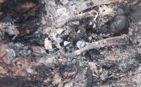 Est de la RDC : les ADF-MTM frappent simultanément l’Ituri et le Nord-Kivu