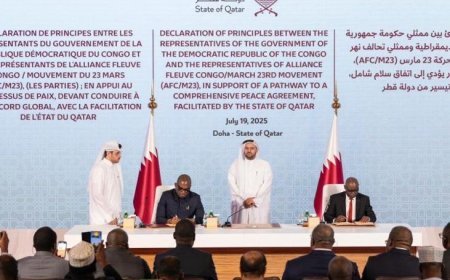 Processus de Doha : les négociations de paix entre la RDC et le M23 marquent le pas