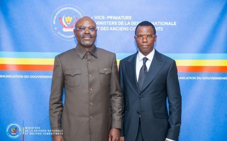 Défense : Le VPM Guy Kabombo et Eliezer Ntambwe unissent leur effort pour les anciens combattants