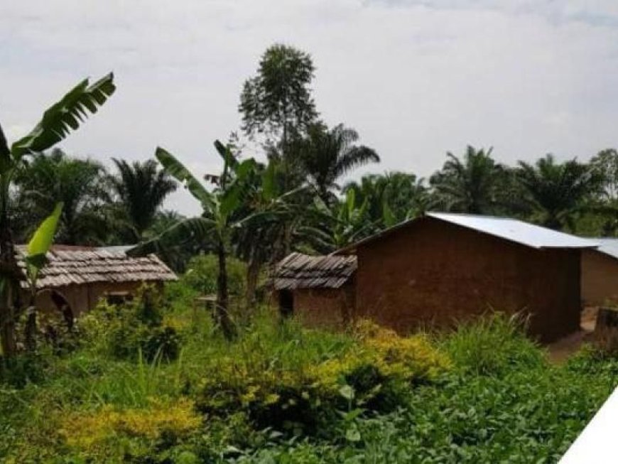 Massacres à Rutshuru : Volker Türk dénonce l’horreur des tueries commises par le M23 au Nord-Kivu