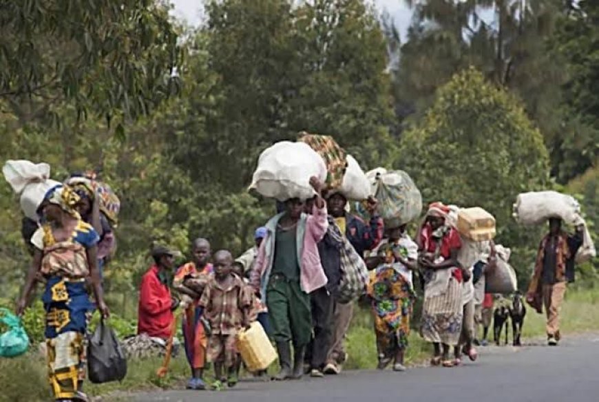 Nord-Kivu : l’instabilité sécuritaire dans le groupement Waloa Yungu provoque un nouvel exode de populations