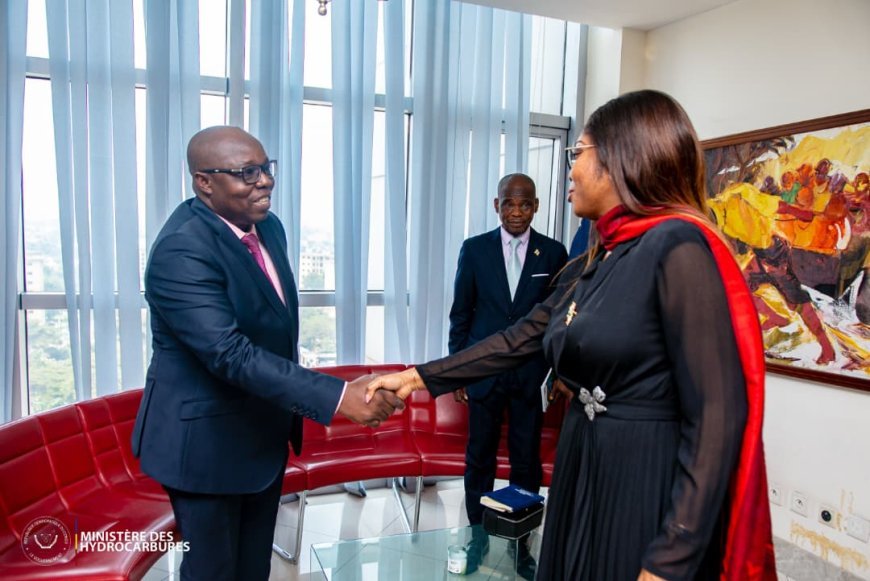 Remontée des produits pétroliers en RCA:  Bangui sollicite l'appui technique de Kinshasa