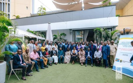 Kinshasa, RDC - Le PNUD et l'Ambassade de Suède lancent une formation sur la responsabilité sociale et environnementale pour les institutions financières