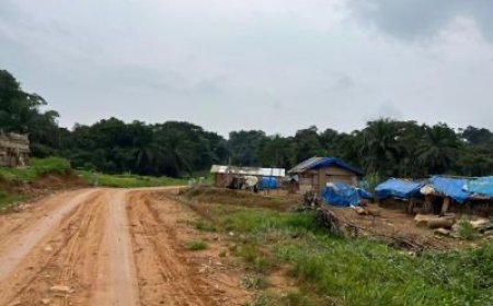 Nord-Kivu : une sexagénaire tuée dans une localité sans forces de sécurité