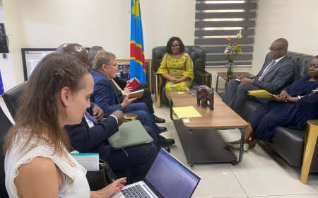 RDC: La Ministre Marie NYANGE et l'Ambassadeur de France  échangent autour des questions cruciales de l'Environnement