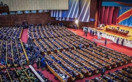RDC : Une plénière convoquée à l'Assemblée nationale pour examiner les pétitions contre le Bureau