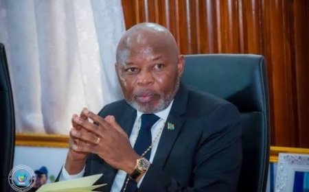 La pétition contre Vital Kamerhe : un journaliste s'en prend au député pétitionnaire