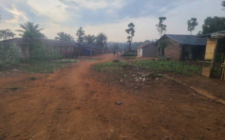 Ituri : Des civils tués et des enfants blessés dans une incursion des ADF