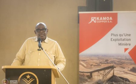 RDC : le gouvernement entame un dialogue monstructif avec les opérateurs miniers