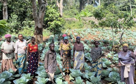 Est de la RDC : Crise humanitaire et alimentaire imminente dans le Nord-Kivu
