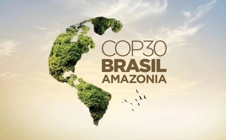 COP30-Brezil: Le Service de Communication du ministère de l'Environnement congolais lance le processus d'accréditation à travers son site internet dédié (Communiqué de presse)