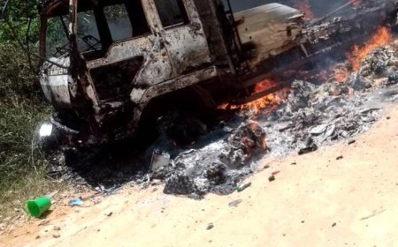 Oïcha : Huit civils tués dans une nouvelle embuscade sanglante attribuée aux ADF-MTM