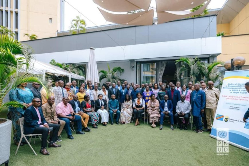 Kinshasa, RDC - Le PNUD et l'Ambassade de Suède lancent une formation sur la responsabilité sociale et environnementale pour les institutions financières