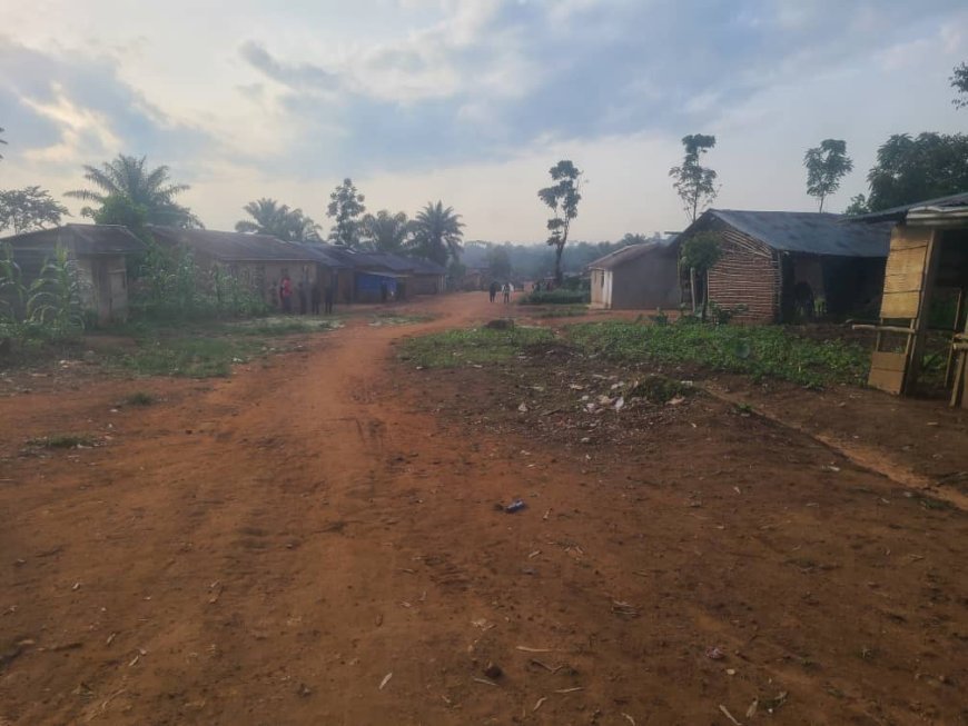 Ituri : Des civils tués et des enfants blessés dans une incursion des ADF