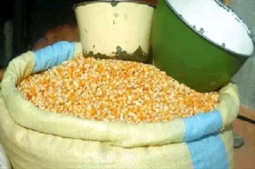 Îlebo : Alerte sur une crise alimentaire à Banga