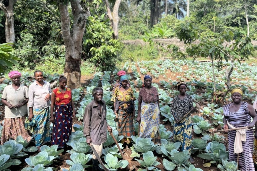 Est de la RDC : Crise humanitaire et alimentaire imminente dans le Nord-Kivu
