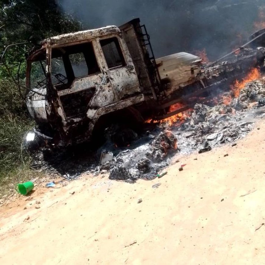 Oïcha : Huit civils tués dans une nouvelle embuscade sanglante attribuée aux ADF-MTM