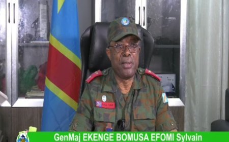 L'Armée appelle les FDLR se cachant en RDC à déposer les armes pour faciliter le processus de paix