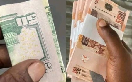 Kinshasa : la baisse du dollar sans effet sur le panier de la ménagère