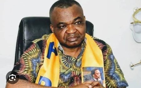 RDC : La suspension des activités du PPRD rejetée par maître Ferdinand KAMBERE