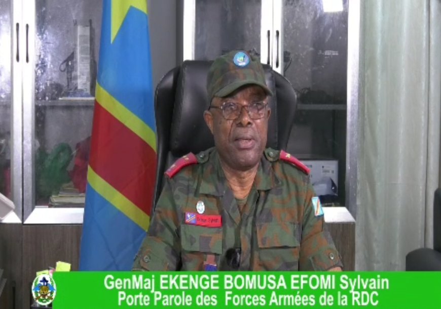 L'Armée appelle les FDLR se cachant en RDC à déposer les armes pour faciliter le processus de paix