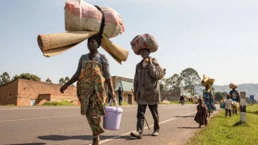 Nord-Kivu : plus de 1 000 nouveaux déplacés fuient les affrontements entre l’AFC/M23 et les Wazalendo à Masisi