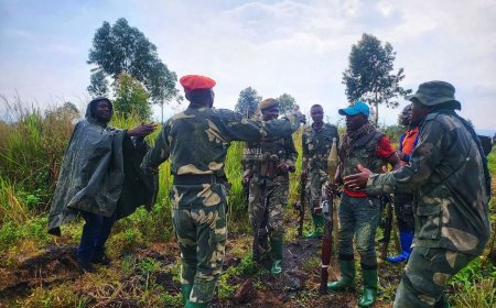RDC–Rwanda : les FDLR rejettent l’appel à la reddition et promettent de poursuivre la résistance contre Kigali