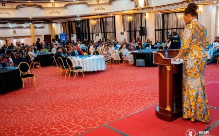 RDC : 23 ans après, l’ANAPI donne raison à la révision du code d’investissement de 2002 jugé « vétuste » et « moins compétitif »