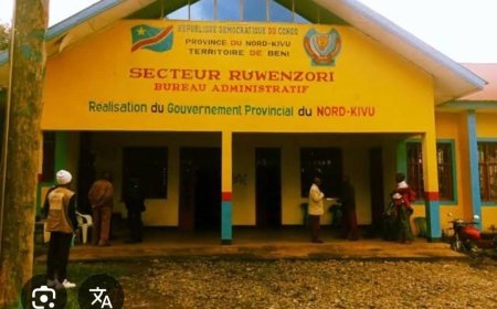 Beni : découverte d’engins explosifs dans le secteur de Ruwenzori