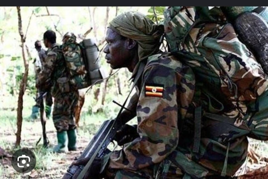 Ituri : L'armée ougandaise frappe un bastion stratégique des ADF à Mambasa