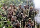 Nord-Kivu : violents affrontements entre Wazalendo et AFC/M23 à Bitongi, près de Kalembe