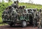Sud-Kivu : les combattants Twirwaneho alliés à l’AFC/M23 prennent le contrôle de Kipupu sans affrontements