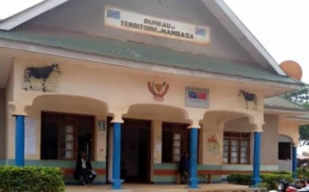 Incursions des ADF-MTM à Mambasa : la CRDH dénonce des disparitions et la léthargie sécuritaire