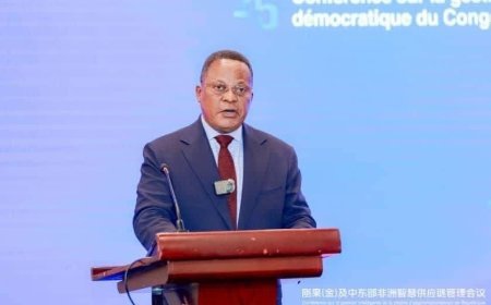 Shanghai-Kinshasa : L'OGEFREM ouvre la voie à une liaison aérienne directe