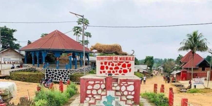 Nord-Kivu : le cri d'alarme d'Ikobo, « poche de résistance » médicale à Walikale