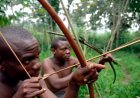 Beni : Trois pygmées dont une femme enceinte tués à Mayi Moya