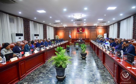 RDC : Le gouvernement mise désormais sur l’économie verte