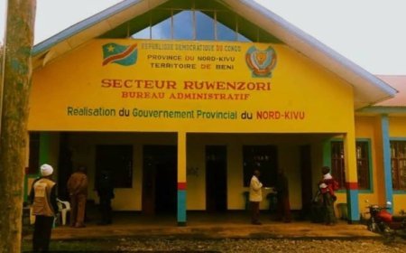 Beni : La CRDH dénonce 27 cas de viols sur mineures en 2025