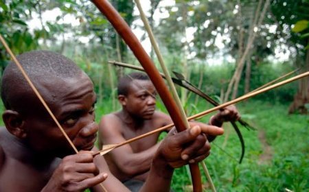 Beni : Trois pygmées dont une femme enceinte tués à Mayi Moya