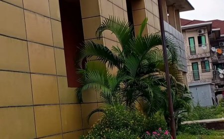 Rendez-vous piégé à Ngaliema : quand une soirée ordinaire vire au scandale