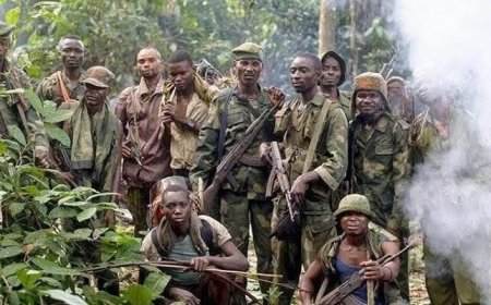 Nord-Kivu : Violents affrontements entre les FARDC et l'AFC/M23 à  Walikale 