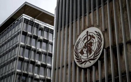 Les États-Unis officialisent leur retrait de l'OMS